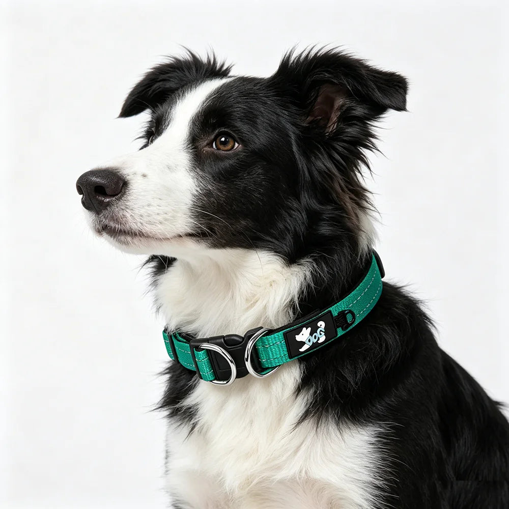 Reflective Comfort Lined Dog Collar with Double D-Ring for Medium to Small Dogs Adjustable Pet Leash for Enhanced Visibility