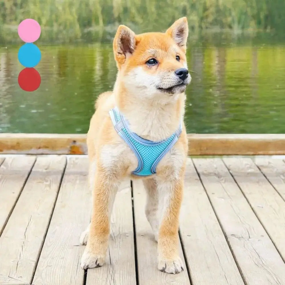 Adjustable Dog Harness Leash Set Breathable Reflective Dog Chest Strap Comfortable Escape Proof Pet Collar Harness