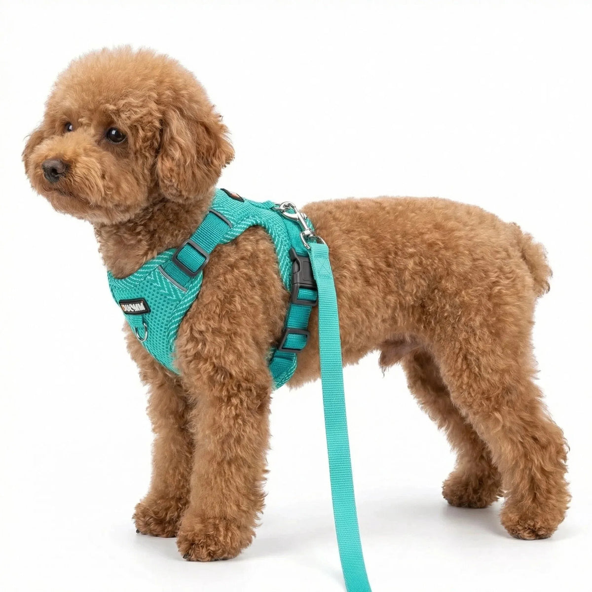 Reflective Breathable Dog Harness and Leash Set Pet Chest Strap Dopamine Pet Supplies Dog Accessories for Small Dogs