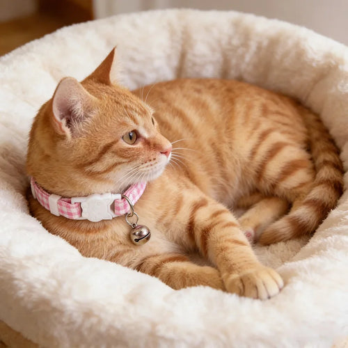 Adjustable Elastic Cat Collar with Bell Small Dog Kitten Mesh Safety Necklace Pet Supplies Kitten Accessories